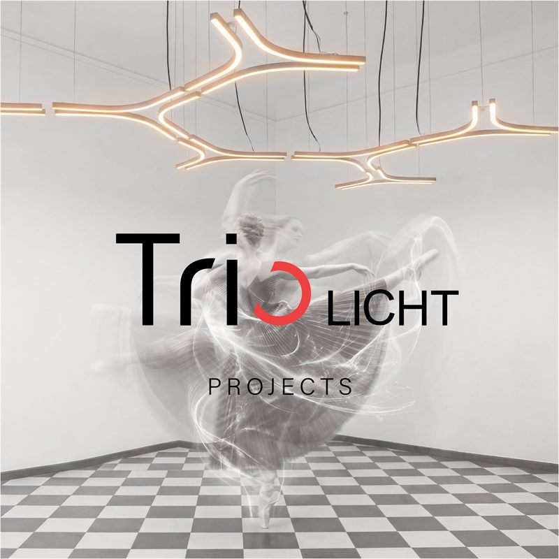 Trio Project.pdf