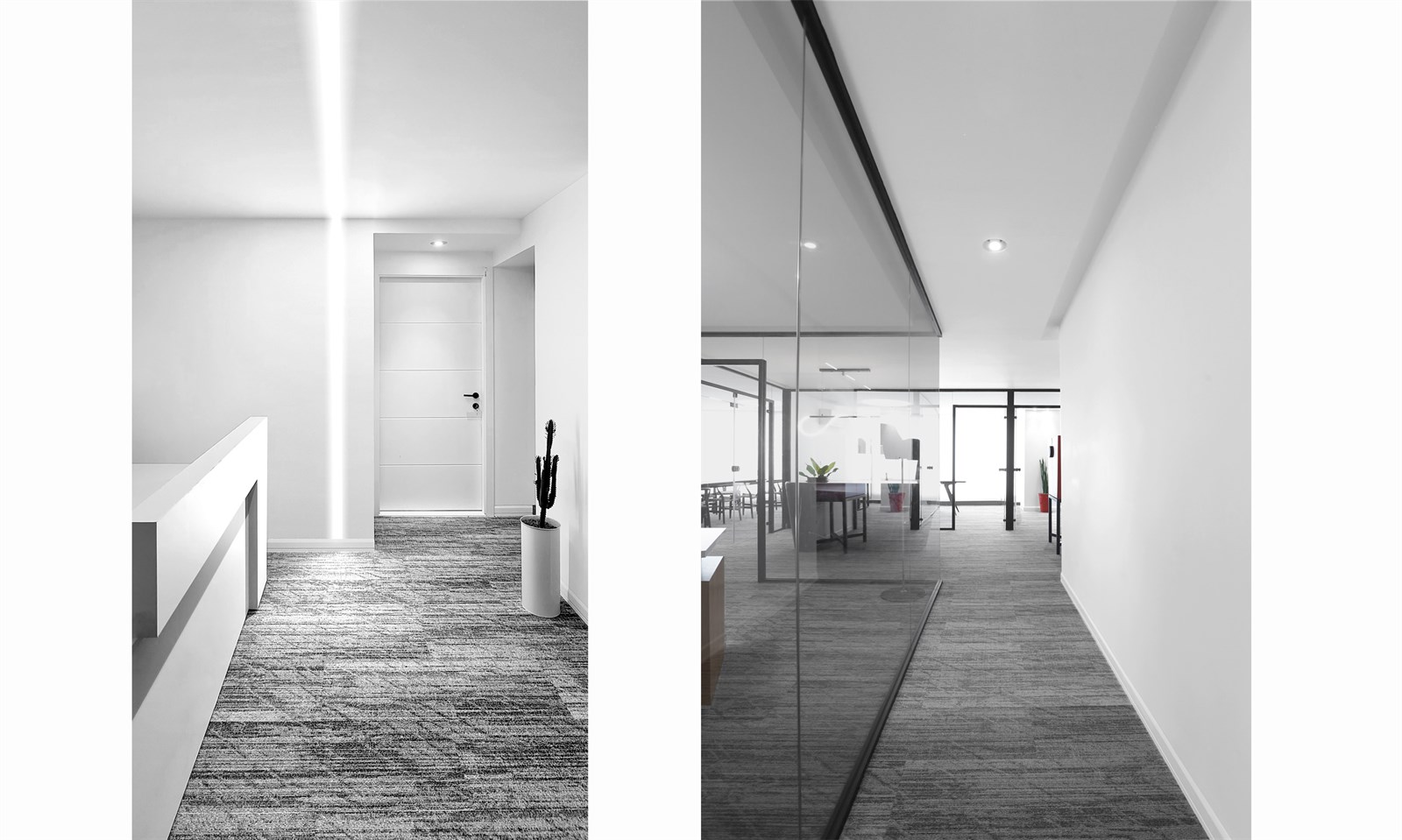 Fibon Office