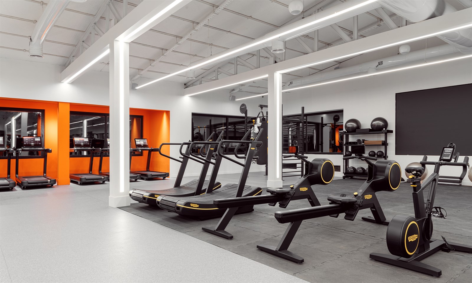 White Gym