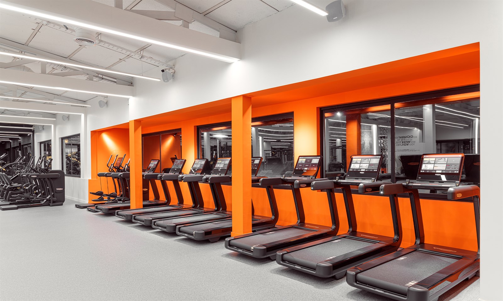 White Gym