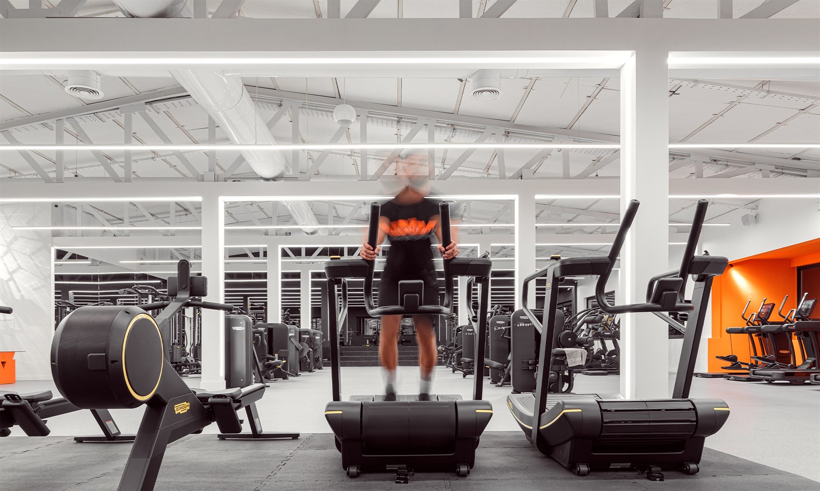 White Gym